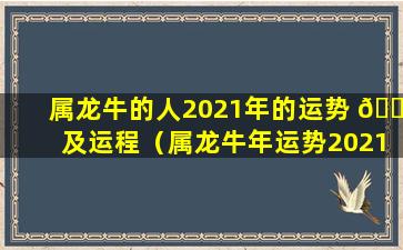 属龙牛的人2021年的运势 🌼 及运程（属龙牛年运势2021年运势12生肖运势 🌺 ）